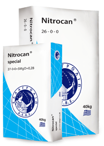 p nitrocan 300