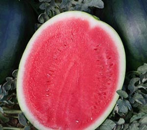 redwatermelon